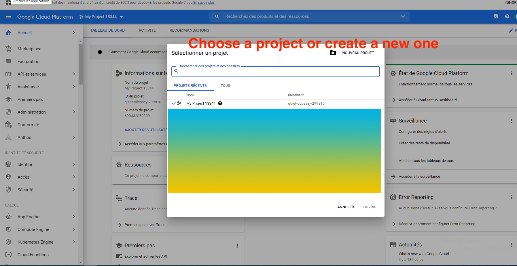 GoConsole Google Auth Api!