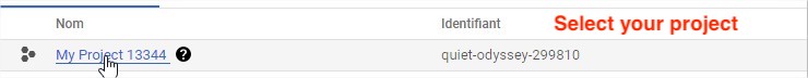 GoConsole Google Auth Api!